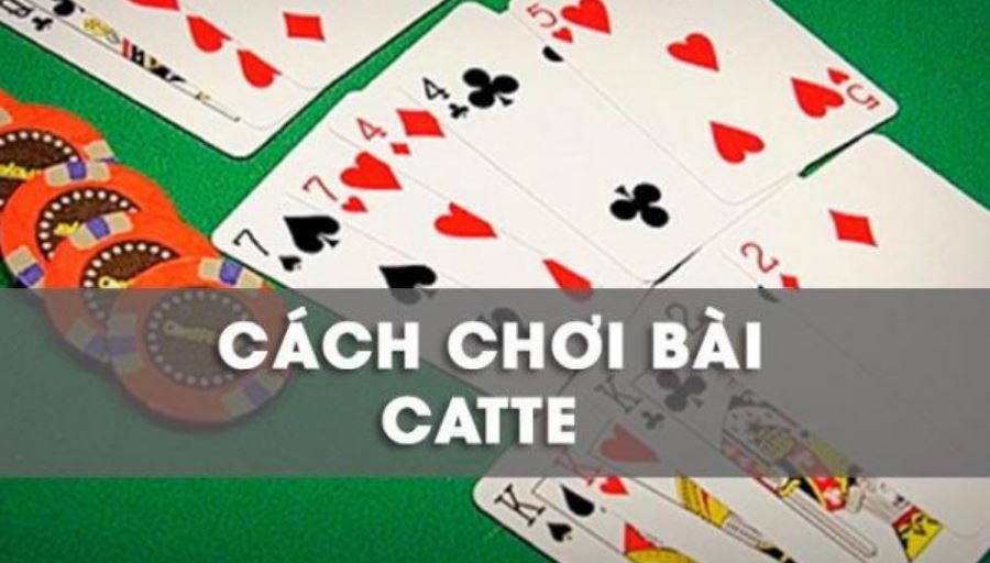 Cược thủ cần nắm được luật chơi game bai doi thuong Catte